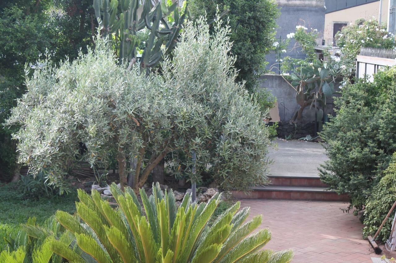 Bouganville Catania Ngoại thất bức ảnh